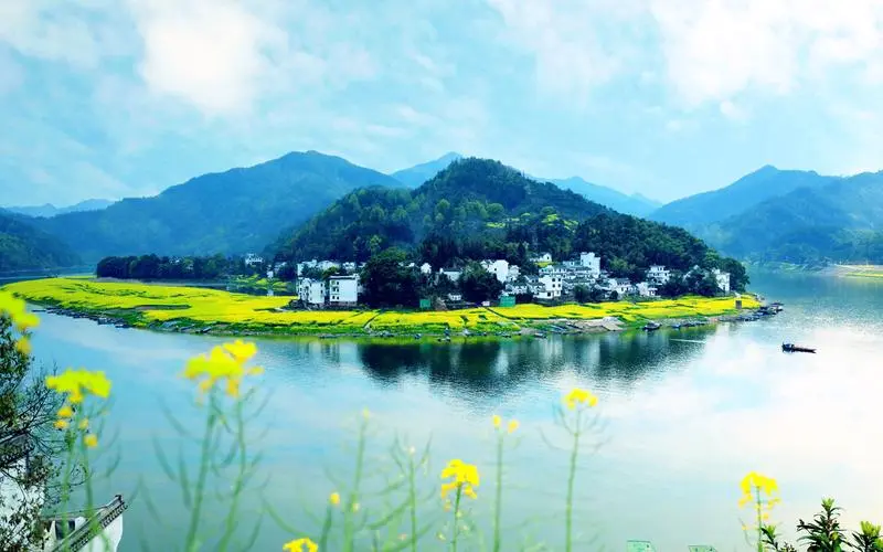 智能化智能高端